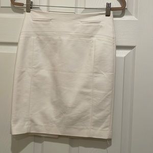 Express Pencil Skirt